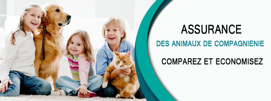Que couvre une assurance animaux de compagnie ?